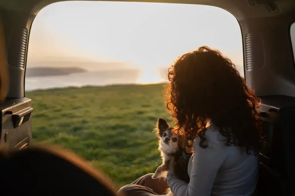 Confira os principais destinos e dicas para a sua viagem em família com pets