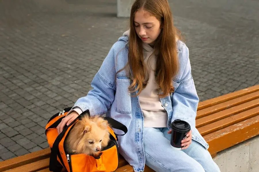 Viajar pela Europa com seu pet é uma experiência enriquecedora, e destinos como Roma, Paris e Viena oferecem tudo para garantir momentos inesquecíveis.