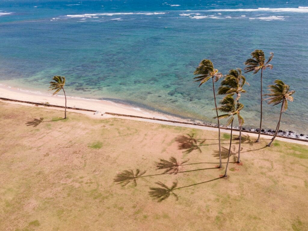 Confira dicas para viajar para Maragogi, o Caribe brasileiro. | Foto: Freepik.