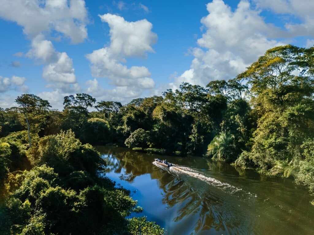 Pantanal. | Foto: Freepik.