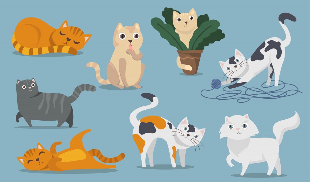 Use tela na janela para proteger seu gato. | Foto: Freepik.