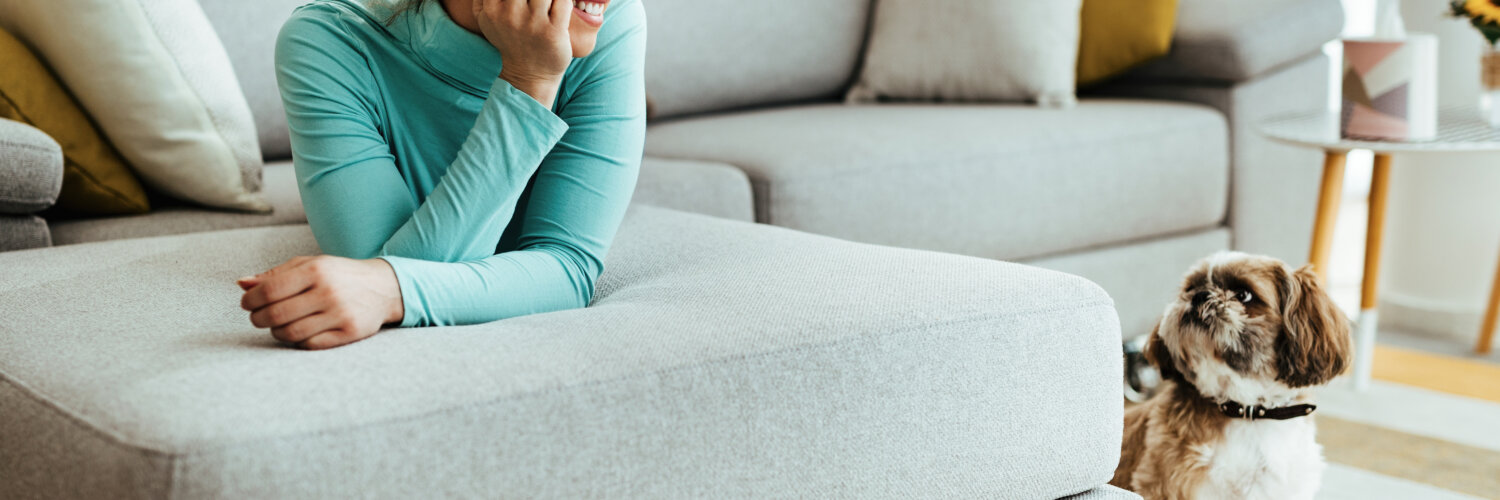 Conheça as 10 melhores raças de cachorro de pequeno porte para apartamentos. | Foto: Freepik.