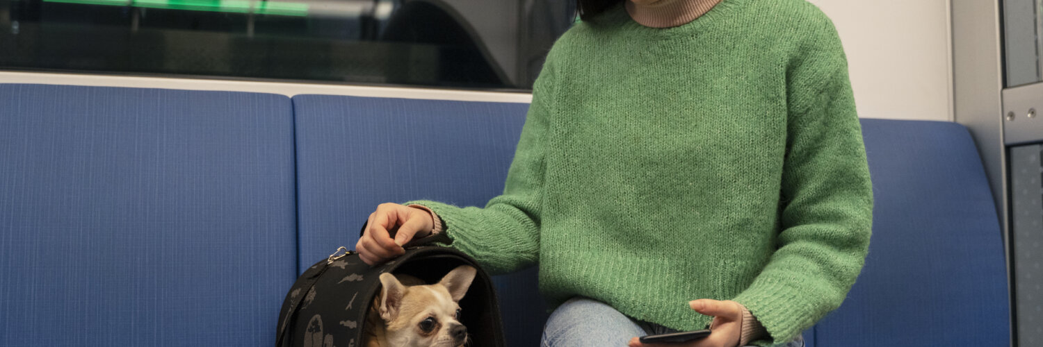 Saiba mais sobre como seu pet deve se portar no transporte público. | Foto: Freepik.