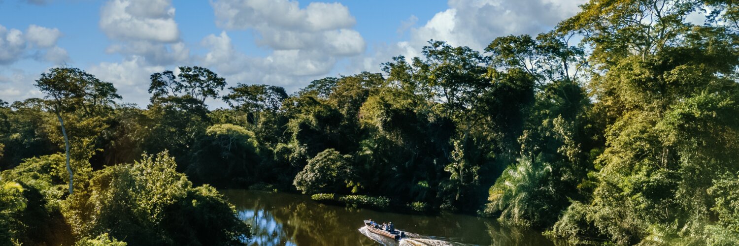 Pantanal. | Foto: Freepik.