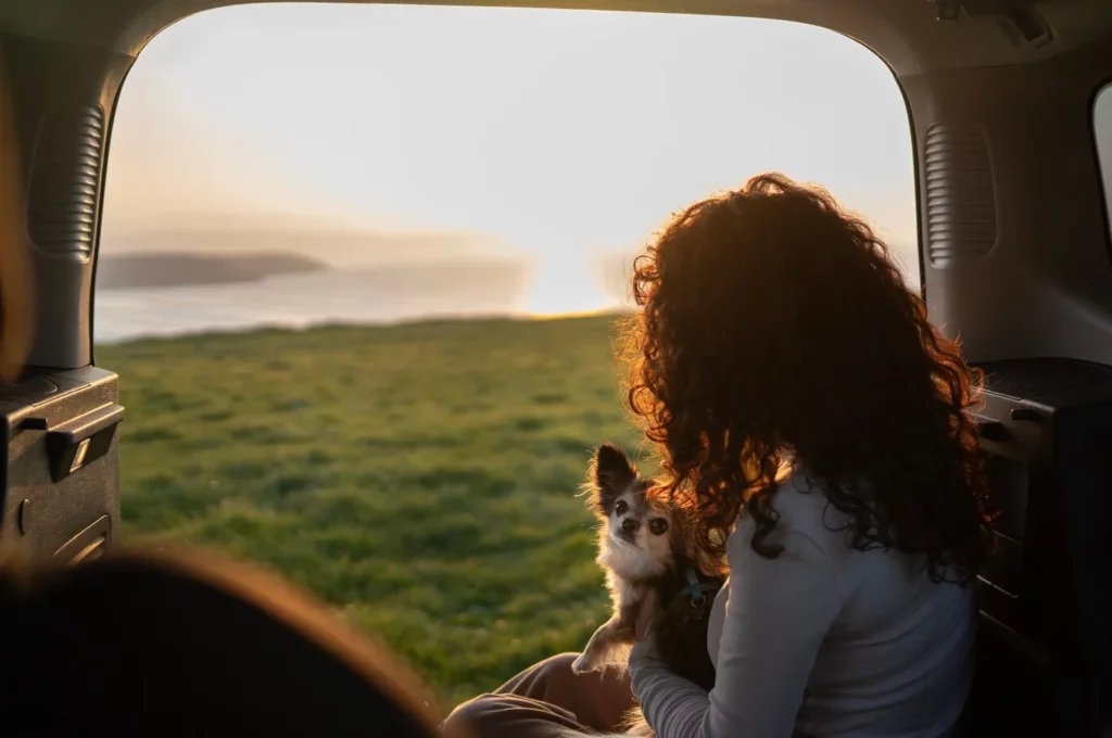 Confira os principais destinos e dicas para a sua viagem em família com pets