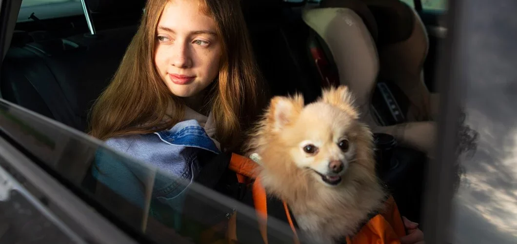 5 Melhores Destinos na Europa para levar seu Pet e fazer fotos incríveis