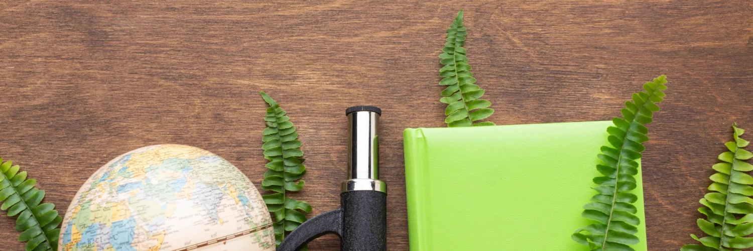 Viagem Ecológica: Saiba como planejar da melhor maneira com nossas dicas. | Foto: Freepik.