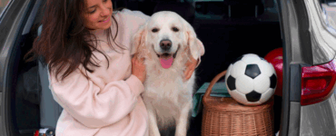 Descubra como o Seguro Viagem da Ciclic protege você e seu pet durante as viagens. Coberturas completas para viajar com tranquilidade e segurança.