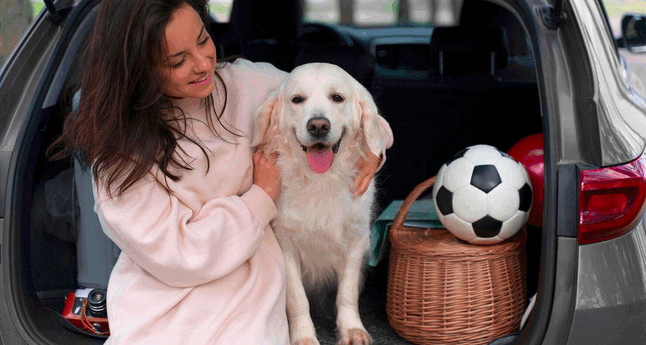 Descubra como o Seguro Viagem da Ciclic protege você e seu pet durante as viagens. Coberturas completas para viajar com tranquilidade e segurança.