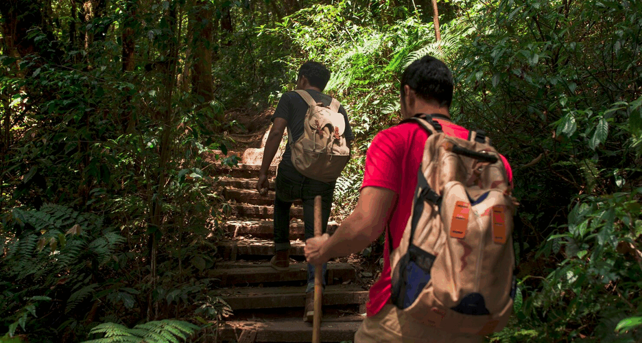 Planejando uma viagem de ecoturismo? Garanta sua tranquilidade com um seguro viagem completo. Proteção para suas aventuras na natureza. Cote agora!